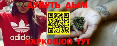 стафф Будённовск